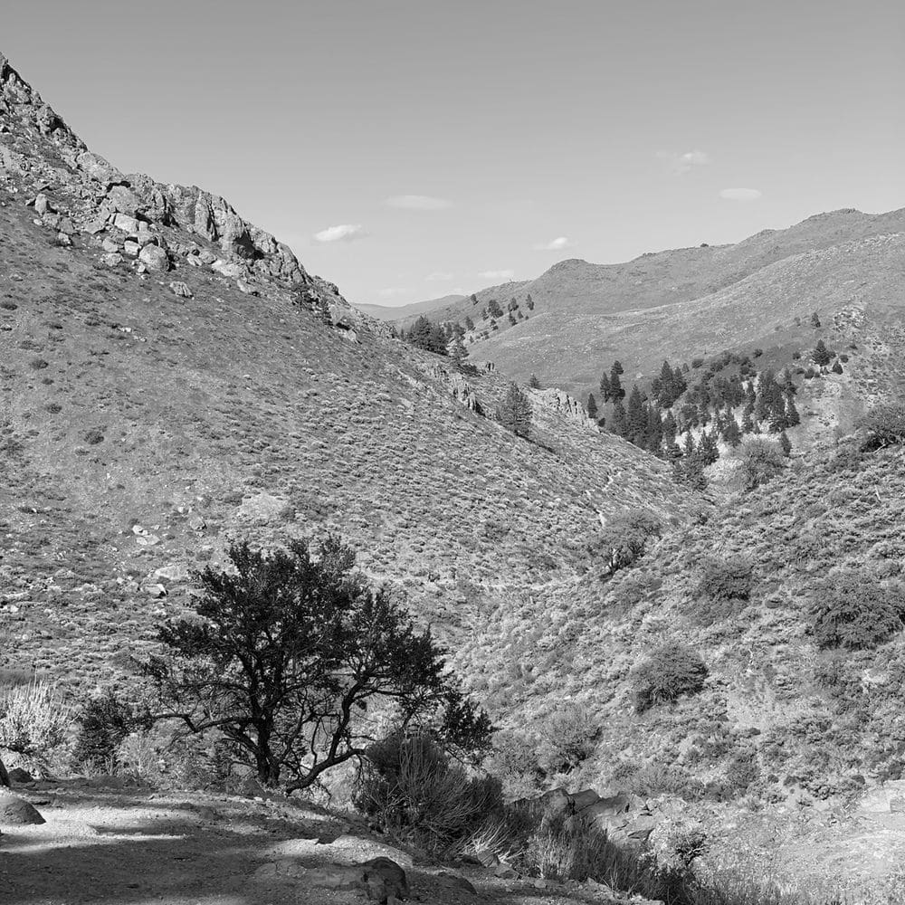 Best Hiking Trails in Sparks NV