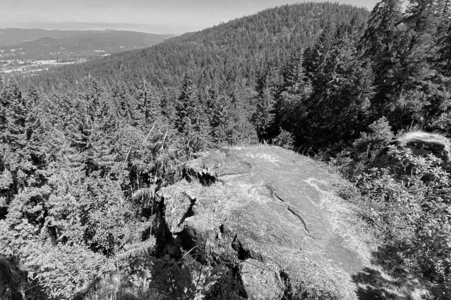 Best Hiking Trails in Springfield OR