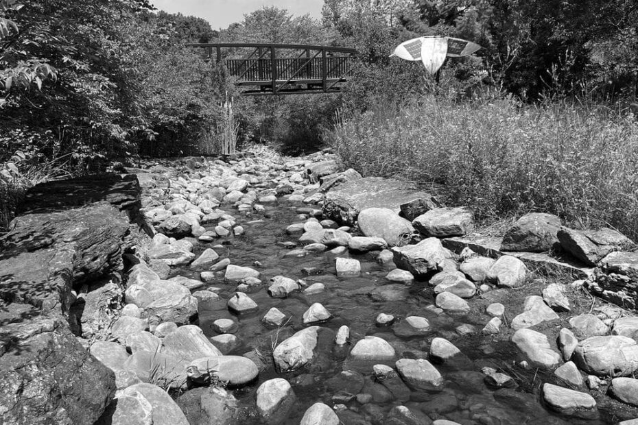 Best Hiking Trails in St Charles MO