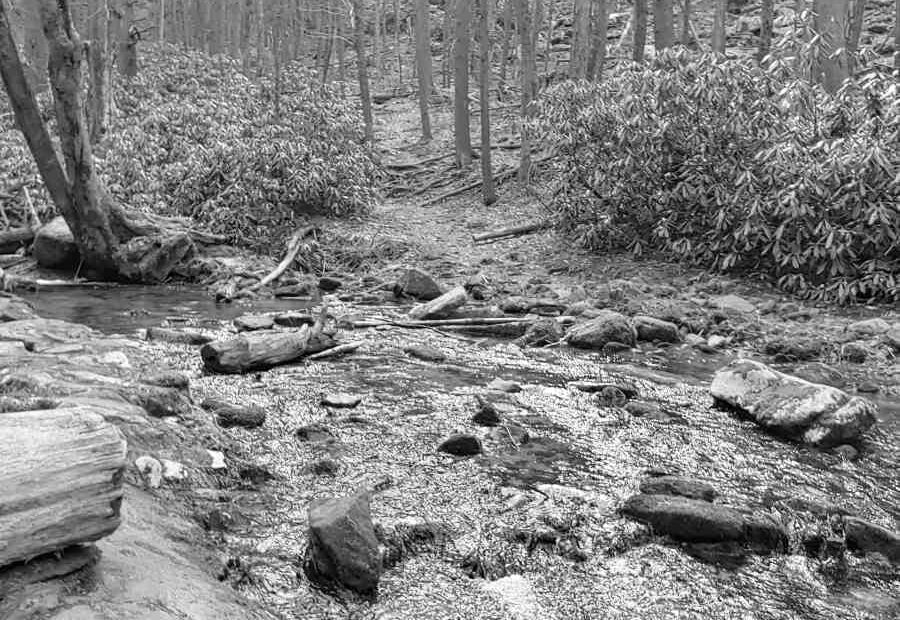 Best Hiking Trails in State College PA