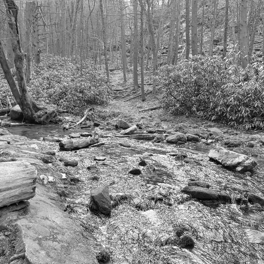 Best Hiking Trails in State College PA