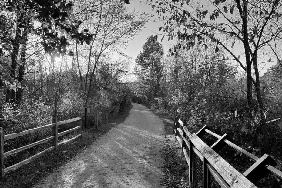 Best Hiking Trails in Sterling Heights MI
