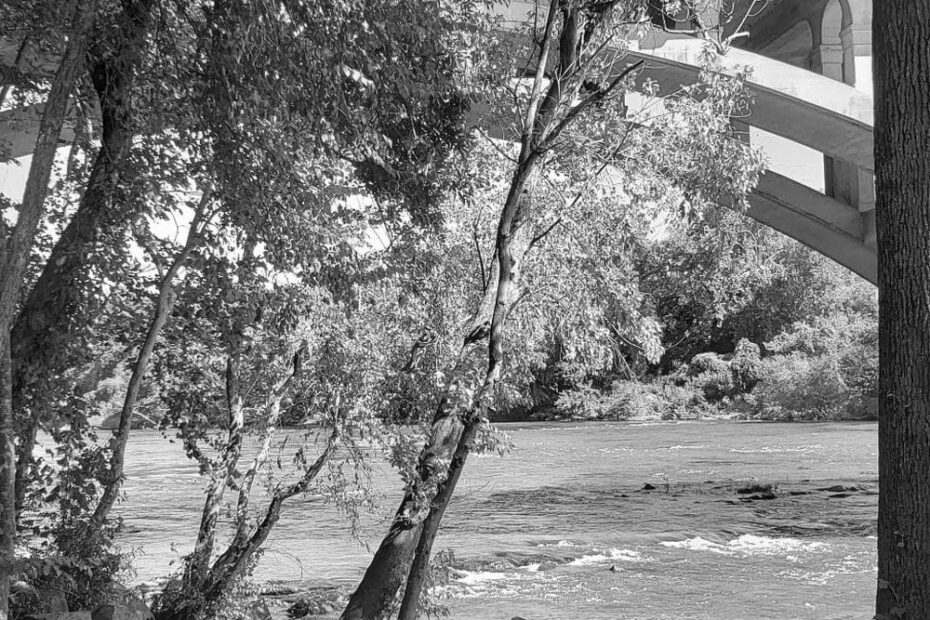 Best Hiking Trails in Sumter SC