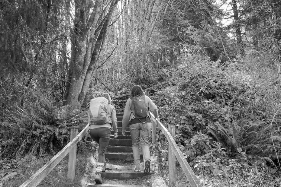 Best Hiking Trails in Tacoma WA