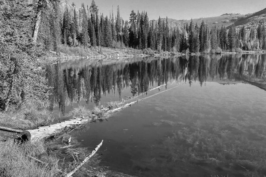 Best Hiking Trails in Taylorsville UT
