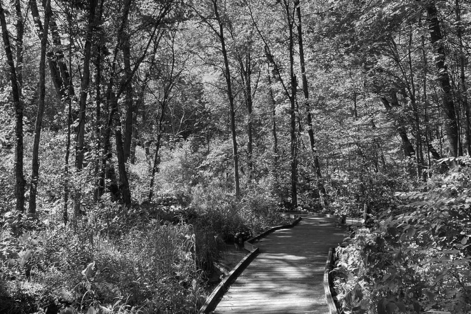Best Hiking Trails in Toledo OH