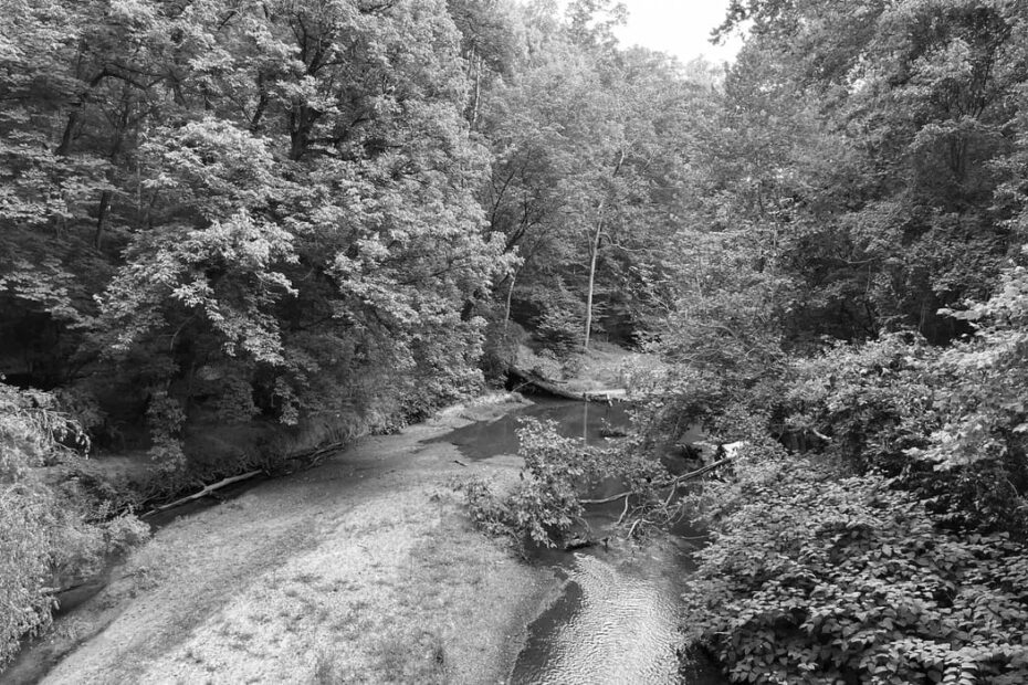 Best Hiking Trails in Towson MD