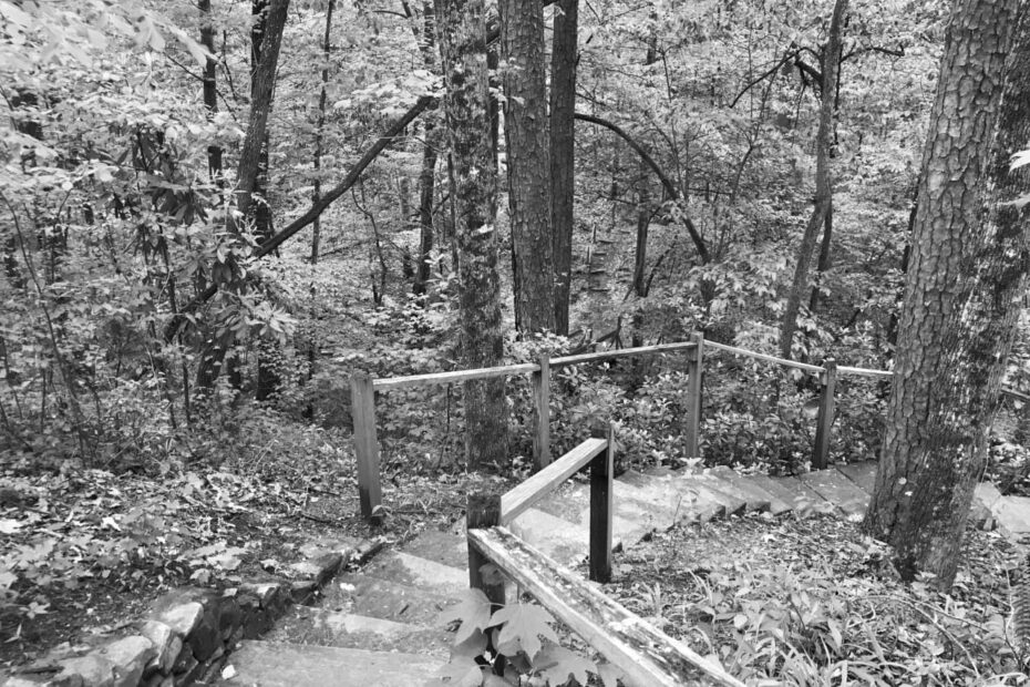 Best Hiking Trails in Vestavia Hills AL