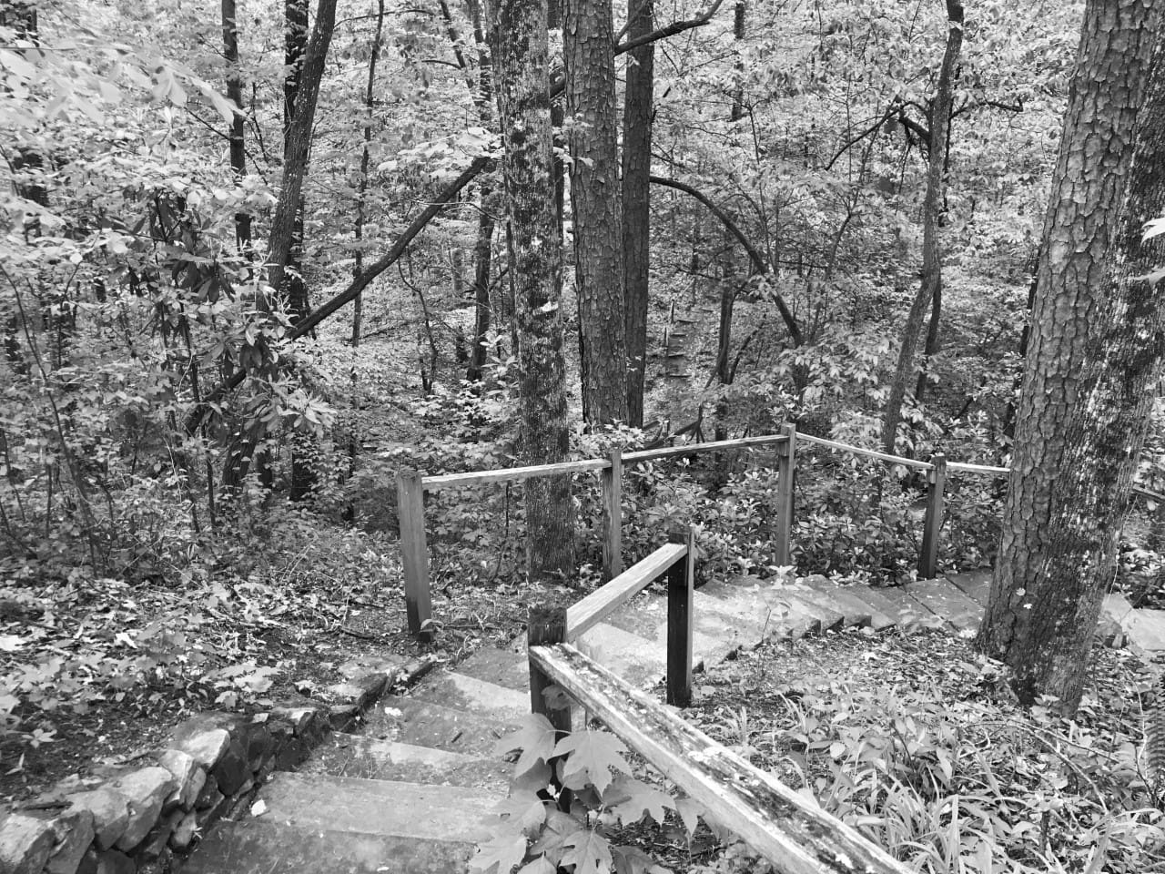 Best Hiking Trails in Vestavia Hills AL