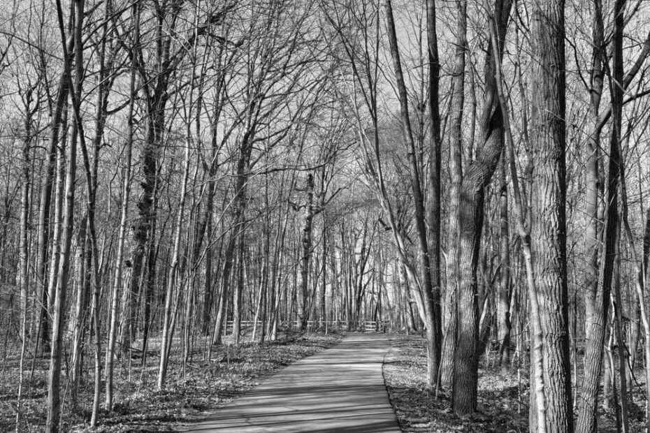 Best Hiking Trails in Warren MI