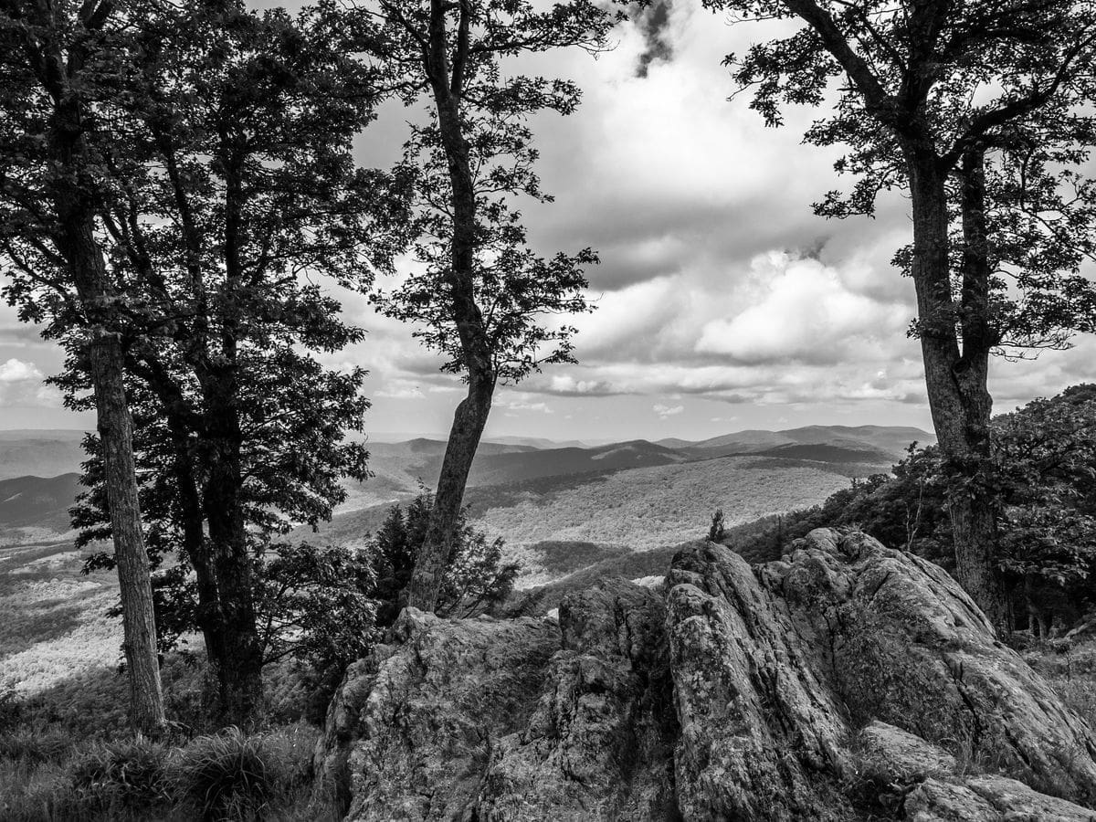 Best Hiking Trails in Washington MD