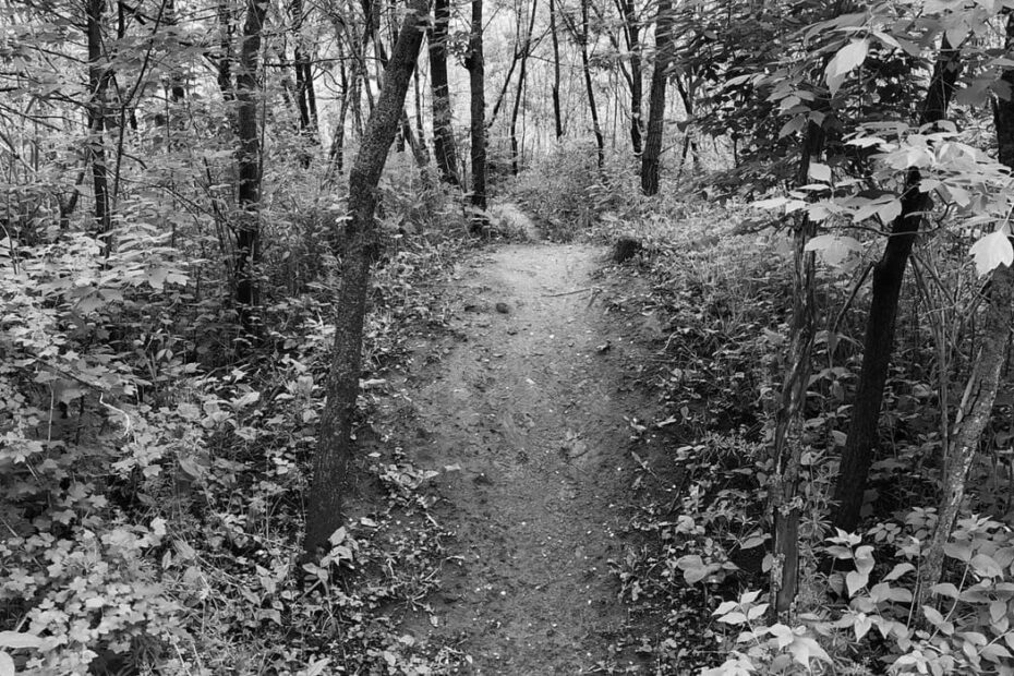 Best Hiking Trails in Waterloo IA