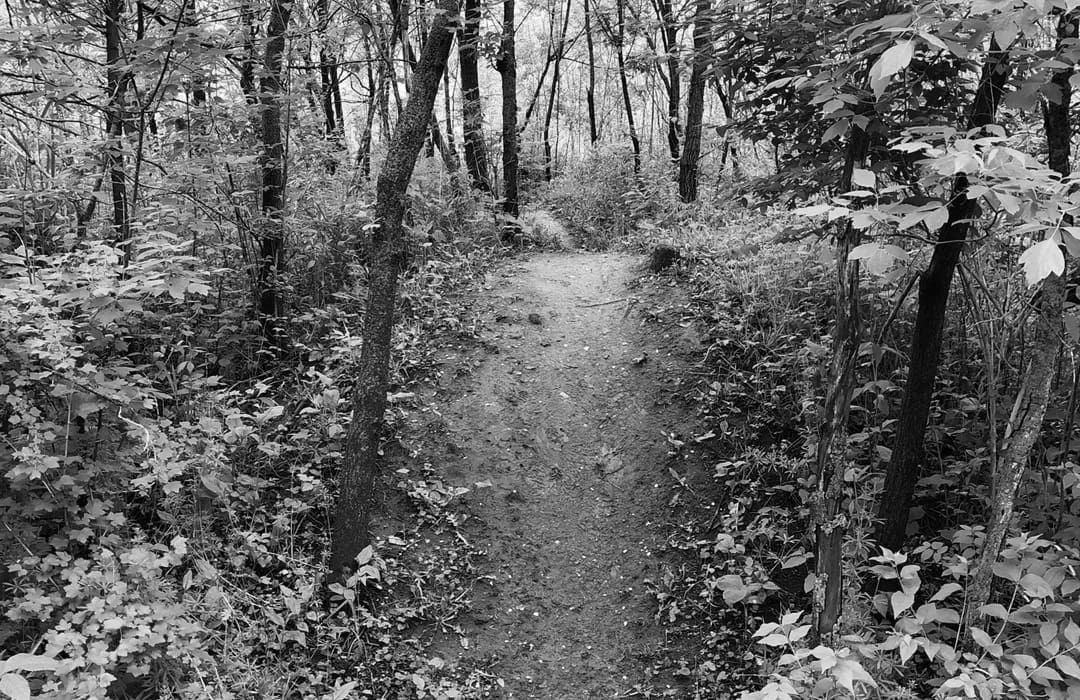 Best Hiking Trails in Waterloo IA