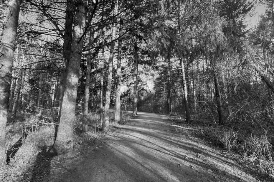 Best Hiking Trails in Waukegan IL