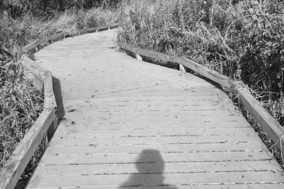Best Hiking Trails in Waukesha WI