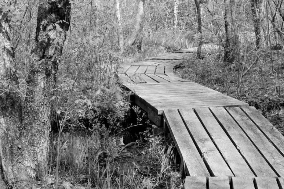 Best Hiking Trails in West Warwick MA