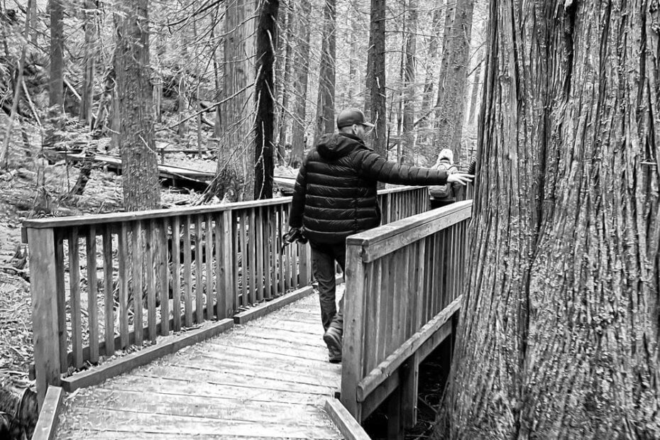 Best Hiking Trails in Whitefish MT