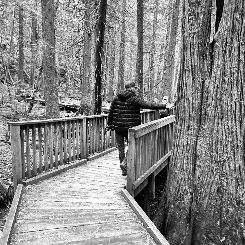 Best Hiking Trails in Whitefish MT
