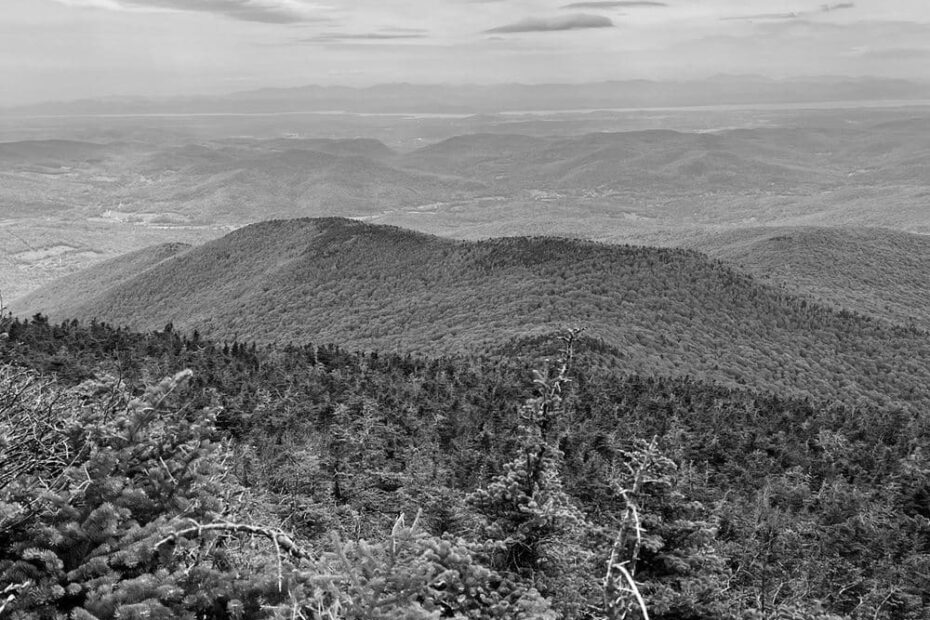 Best Hiking Trails in Williston VT