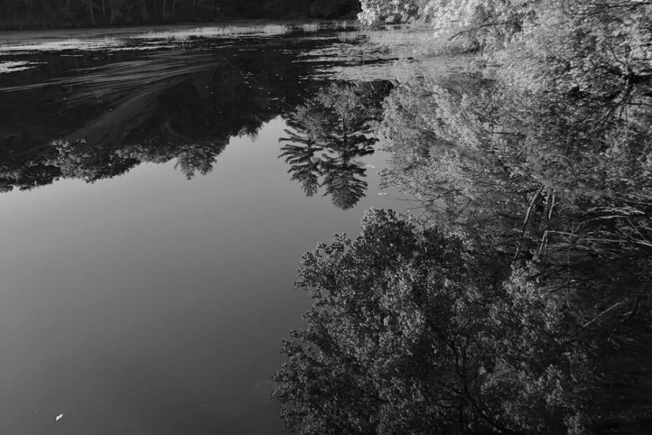 Best Hiking Trails in Woonsocket MA