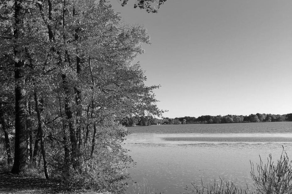 Best Hiking Trails in Worcester MA