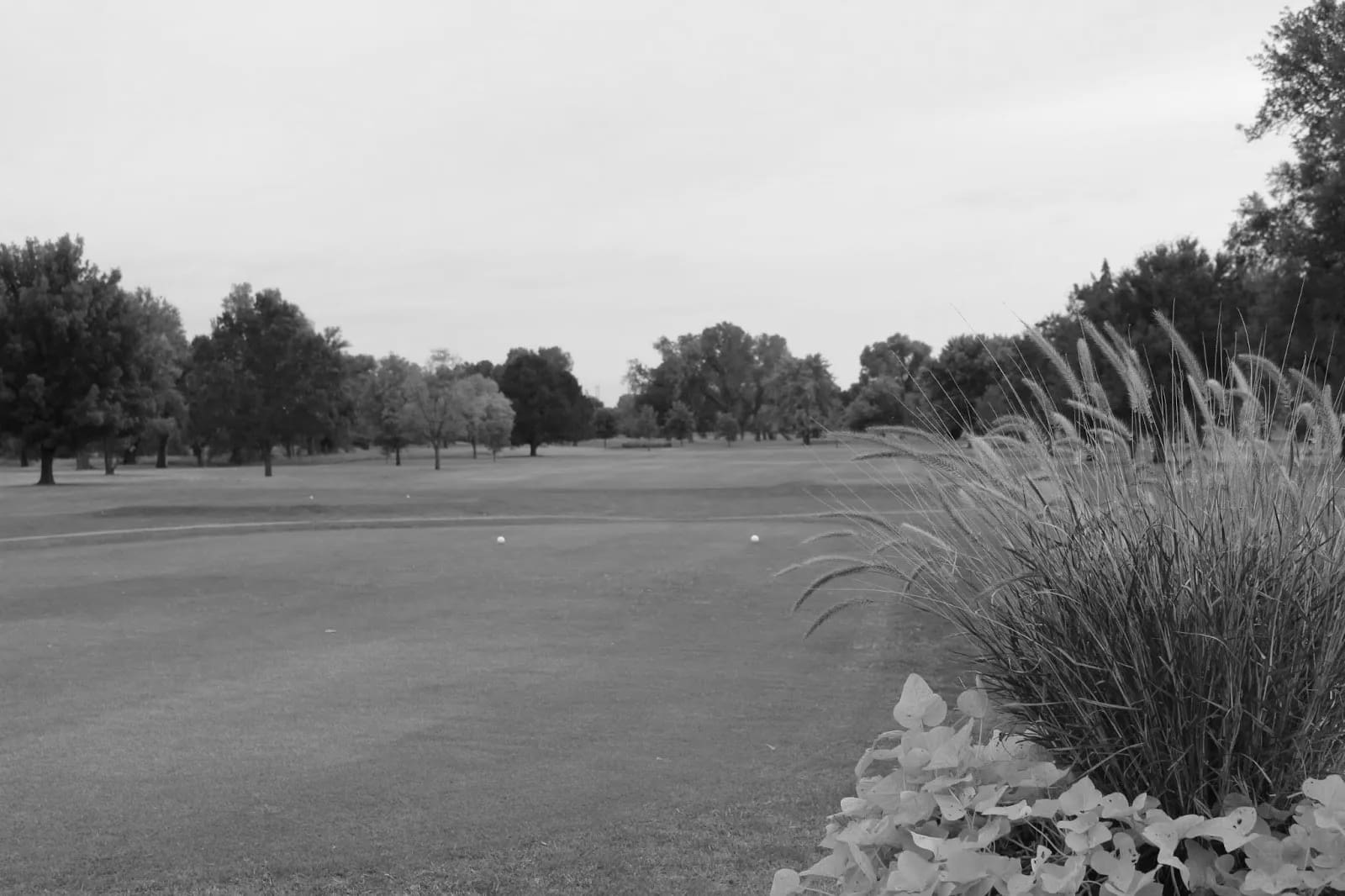 Best Hutchinson KS Golf Courses