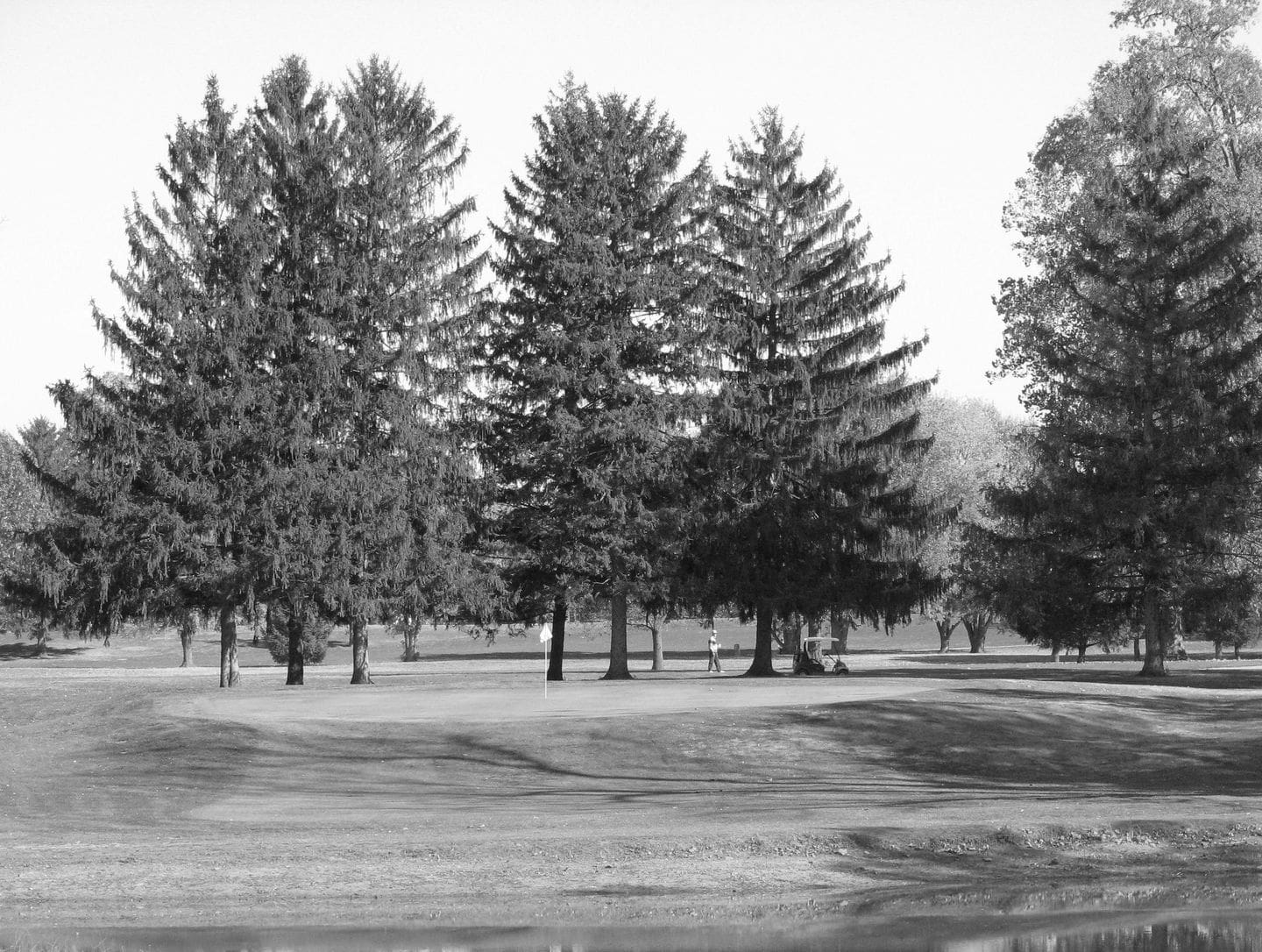 Best Indianapolis IN Golf Courses