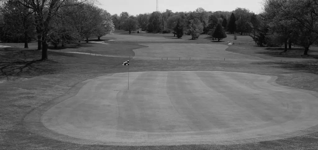 Best Jackson MI Golf Courses