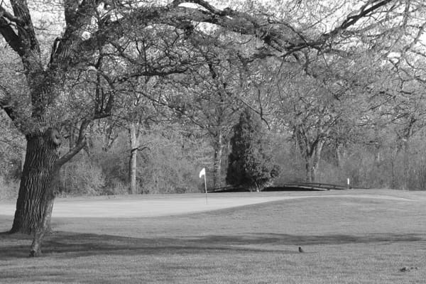 Best Janesville WI Golf Courses