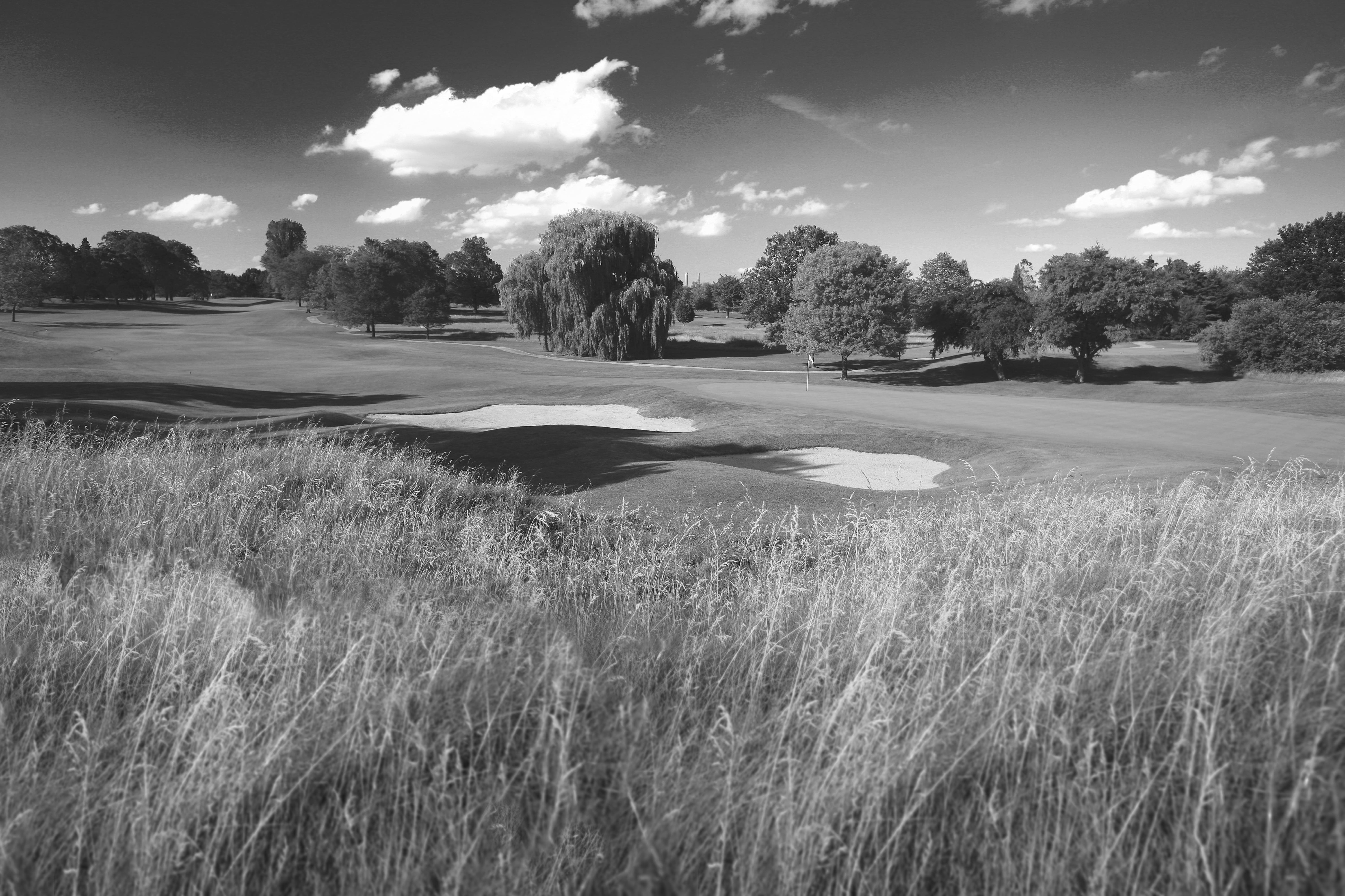 Best Lansing MI Golf Courses