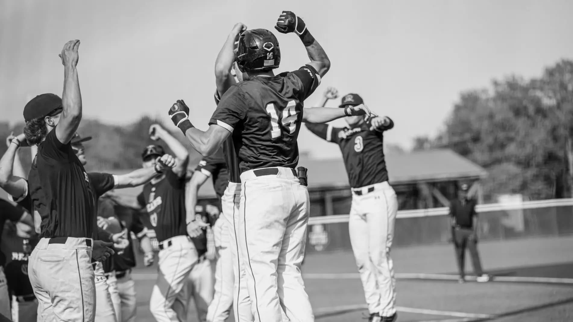 Best Lenoir Rhyne Bears Baseball Players of All Time