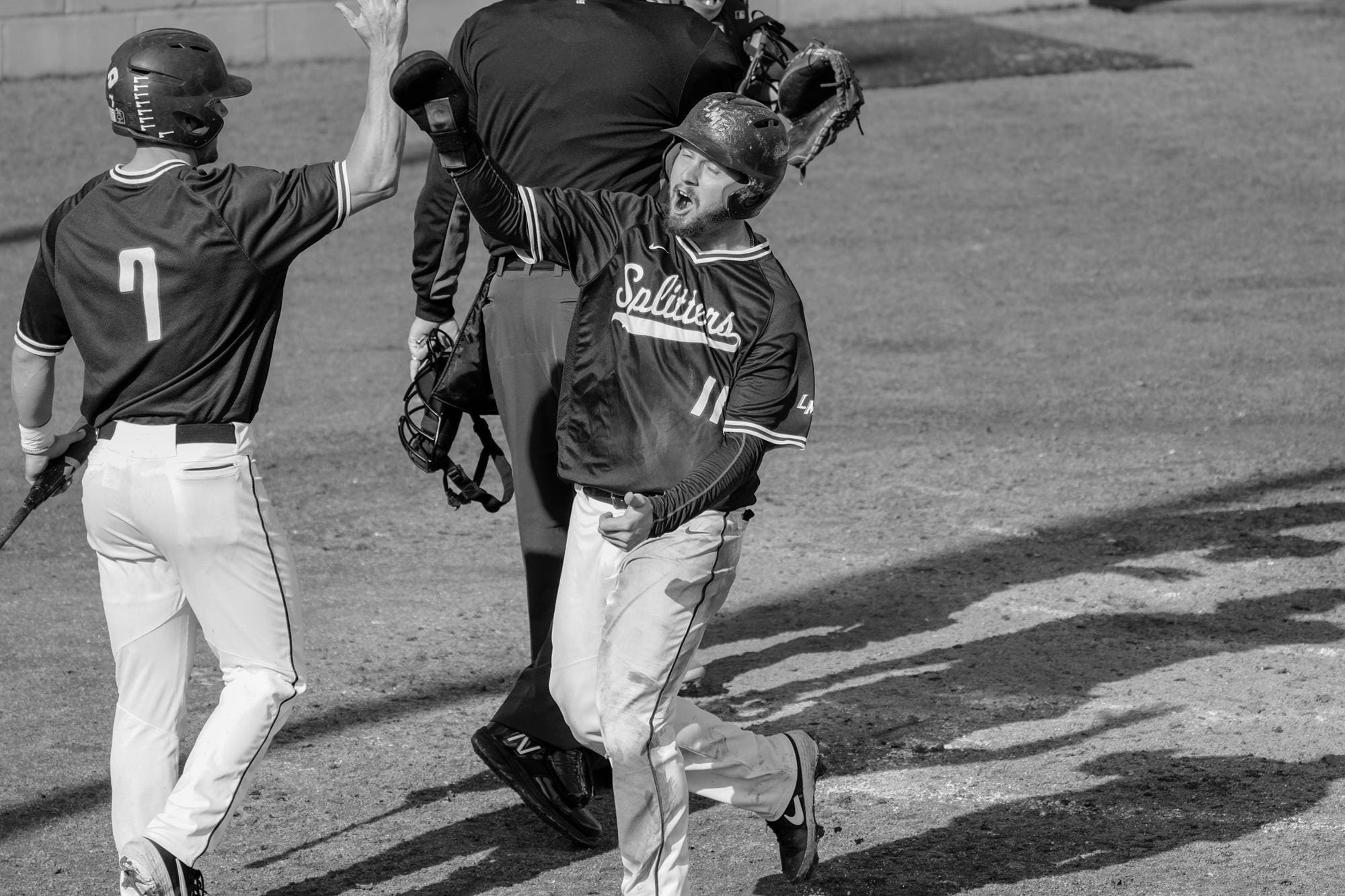 Best Lincoln Memorial Railsplitters Baseball Players of All Time