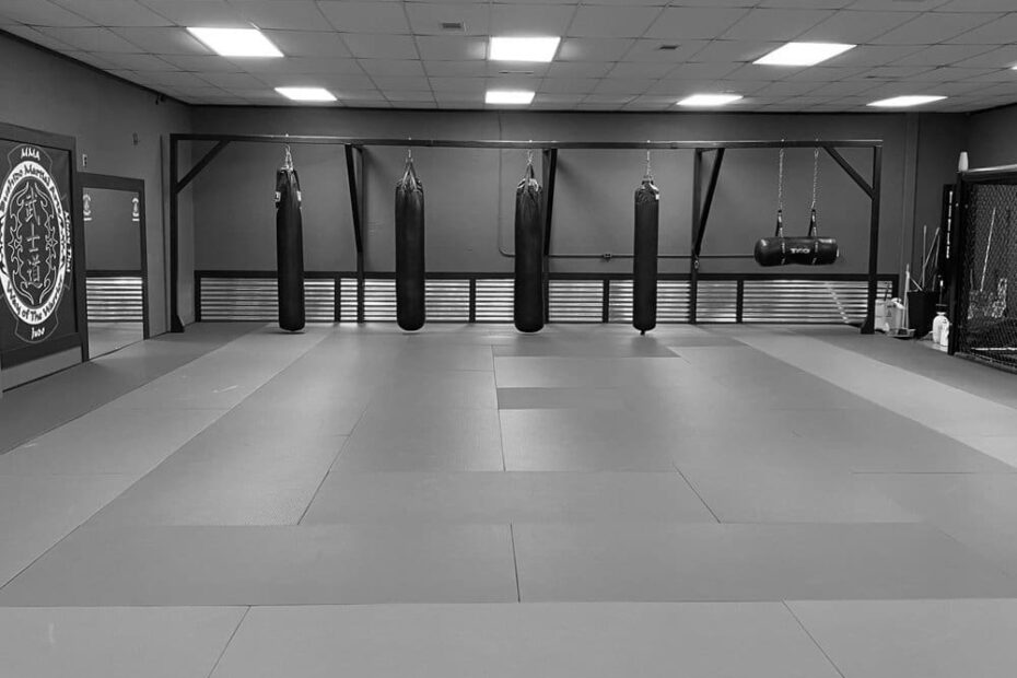 Best MMA Gyms in Arlington TX