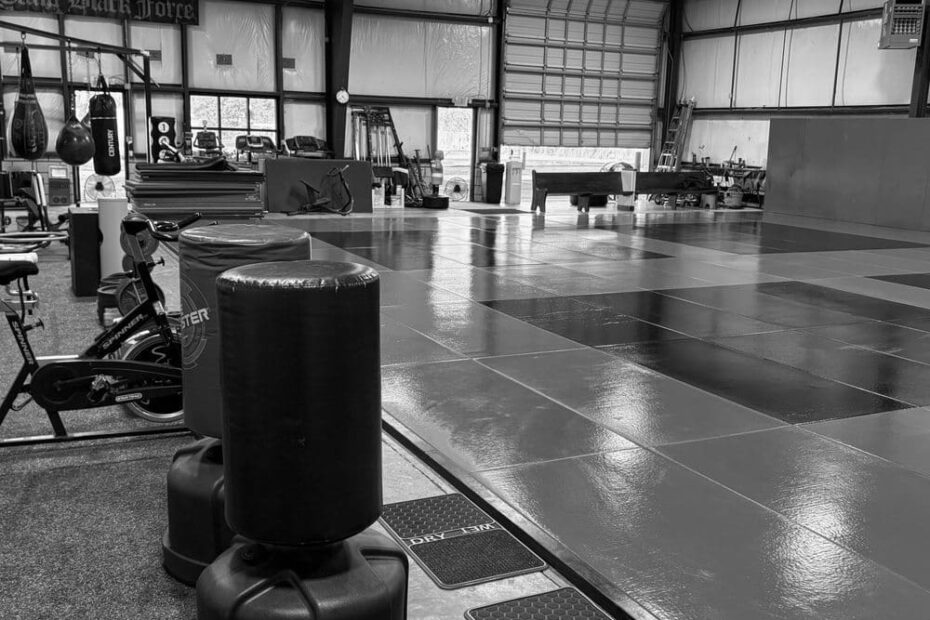 Best MMA Gyms in Asan South Korea