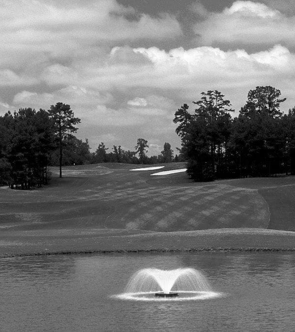 Best McDonough GA Golf Courses