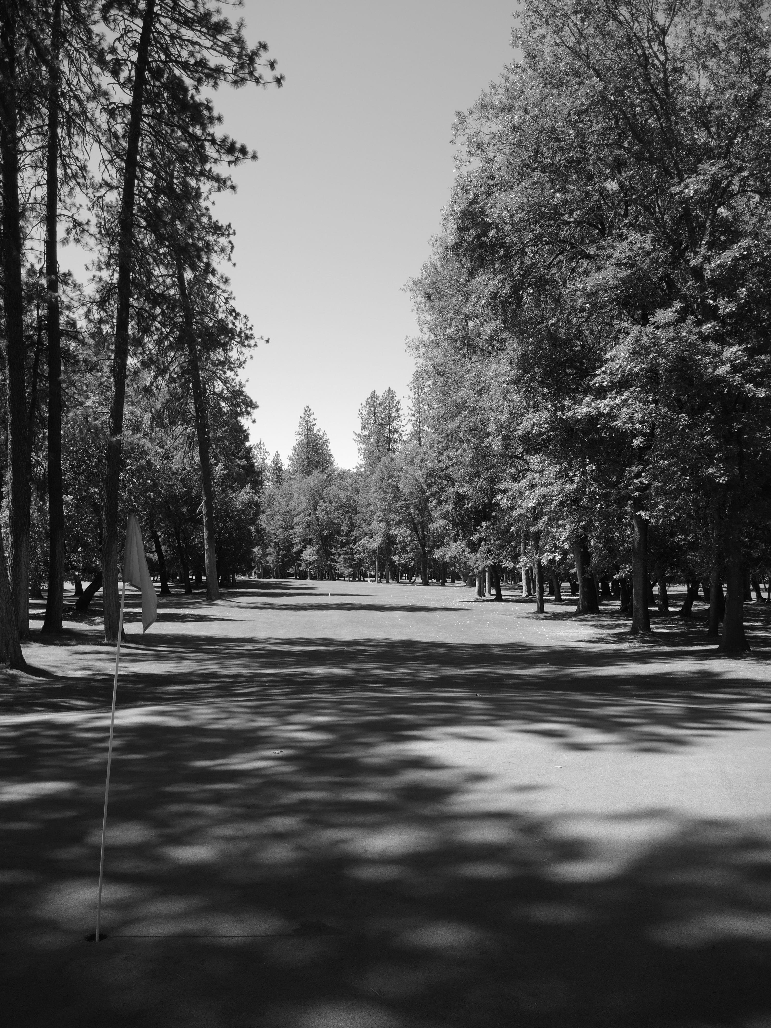 Best Medford OR Golf Courses