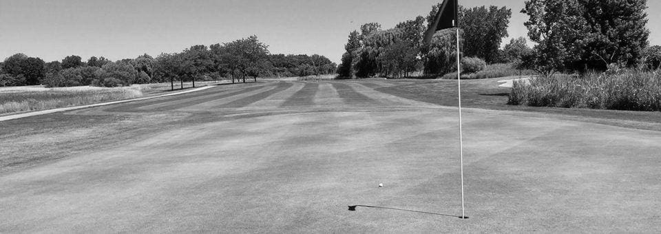 Best Monroe MI Golf Courses