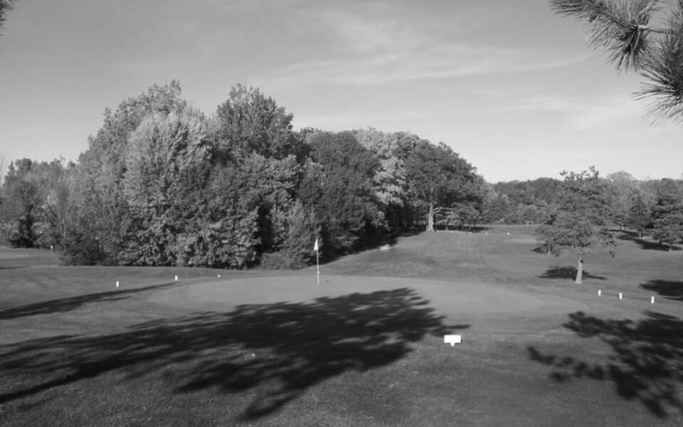 Best Mount Pleasant MI Golf Courses