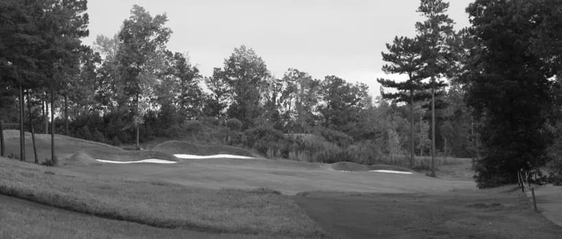 Best Newnan GA Golf Courses
