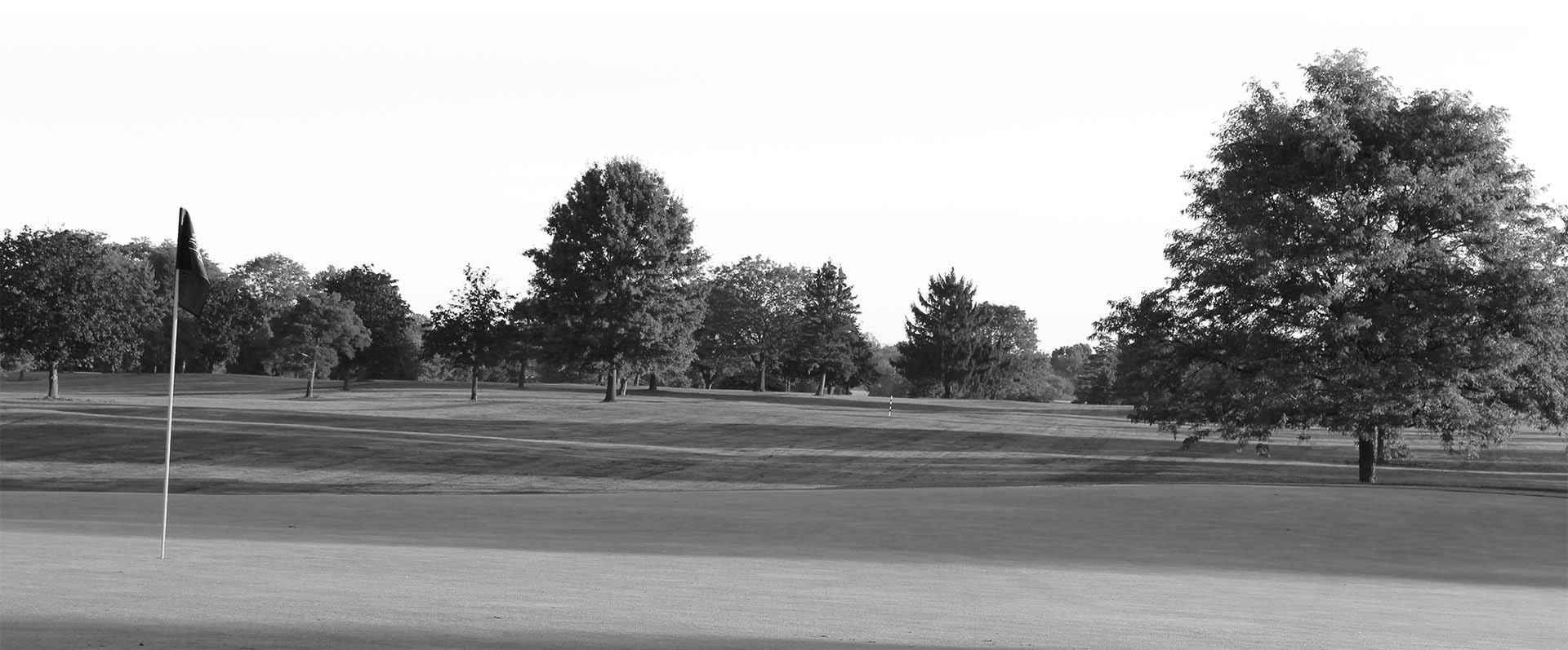 Best Northville MI Golf Courses