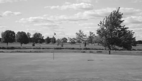 Best Ottawa Lake MI Golf Courses