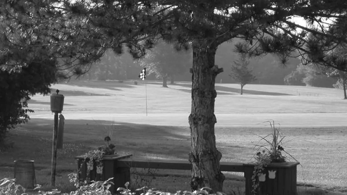 Best Saginaw MI Golf Courses
