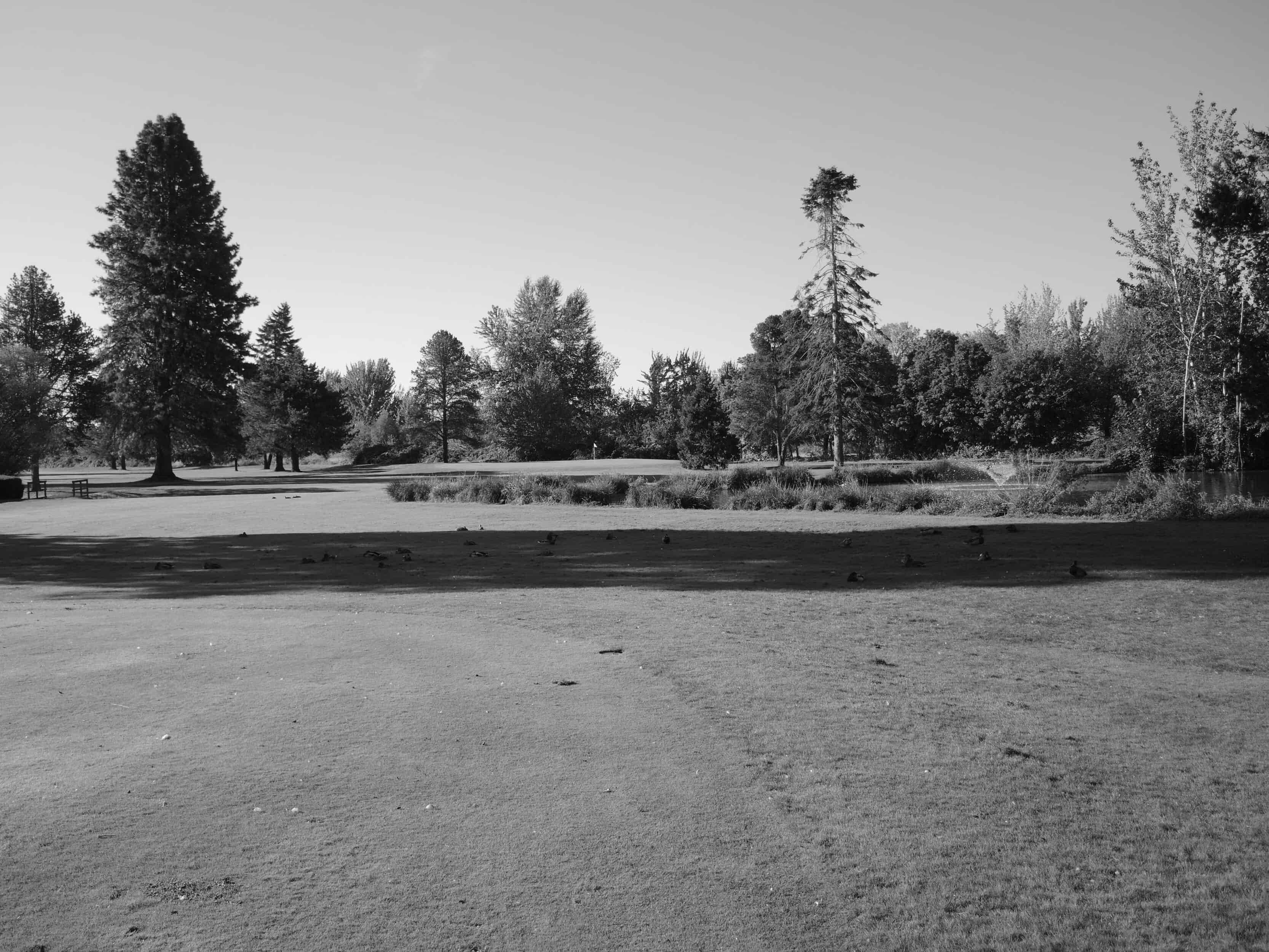 Best Salem OR Golf Courses