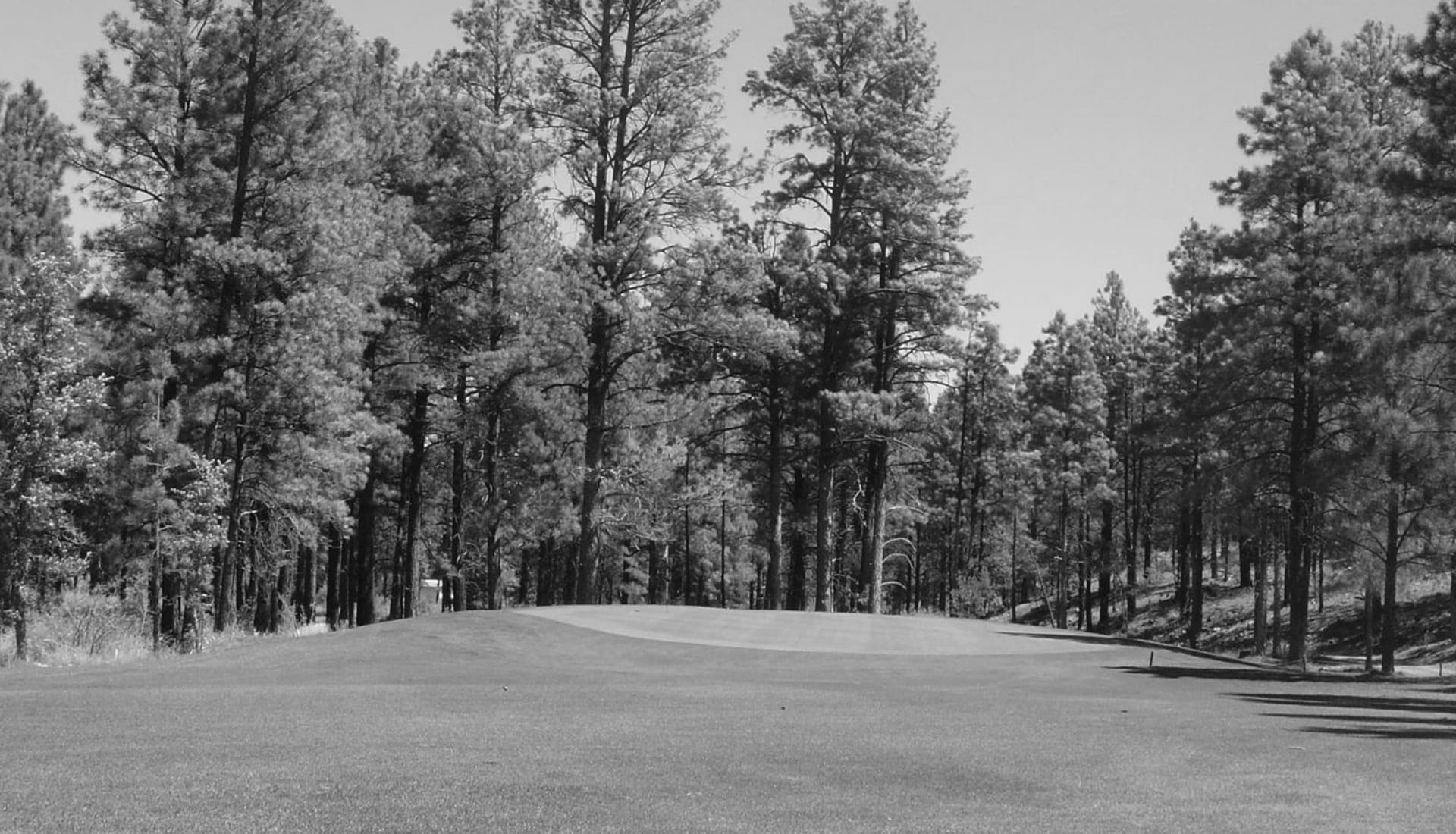 Best Show Low AZ Golf Courses