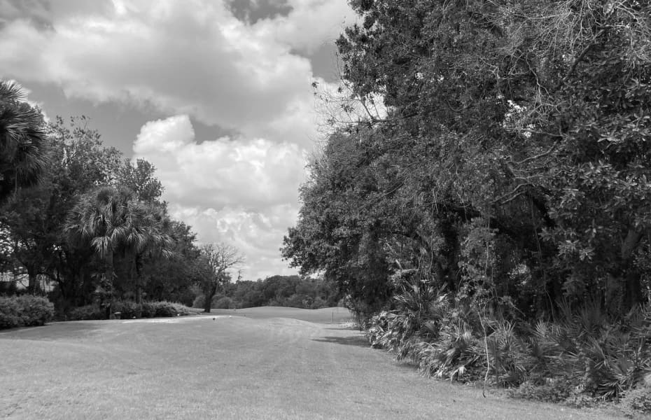 Best Sun City Center FL Golf Courses