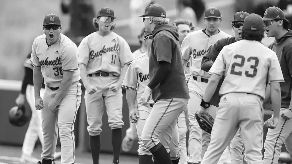 Bucknell Bison Baseball Icons and Champions
