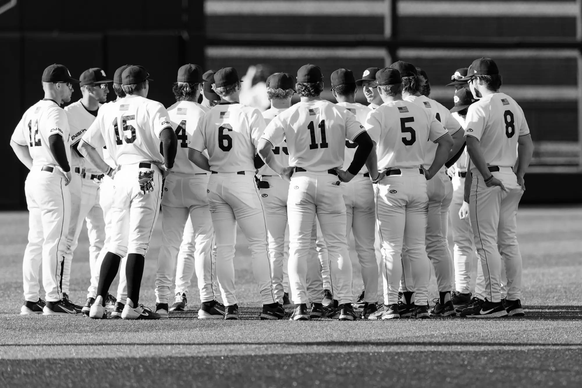 Dallas Baptist Patriots Baseball Icons and Champions