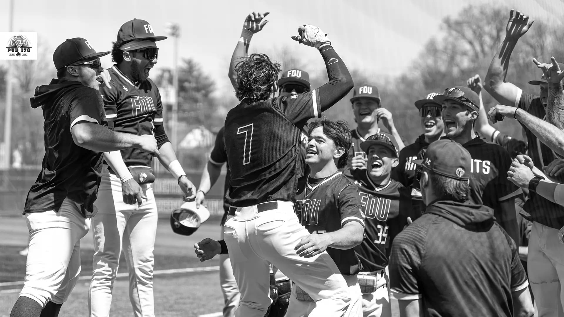 Fairleigh Dickinson Knights Baseball's Most Successful Players