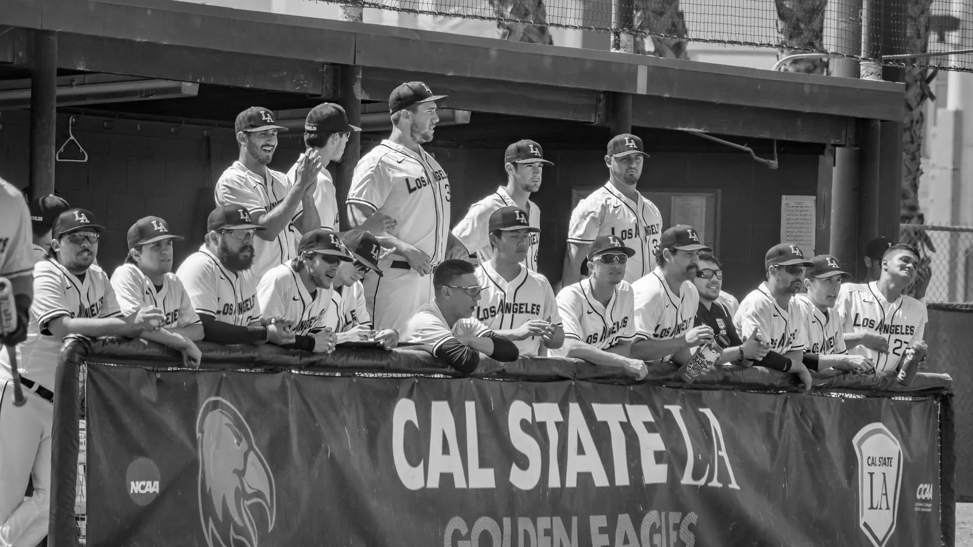 Greatest Cal State LA Golden Eagles Baseball Players in History