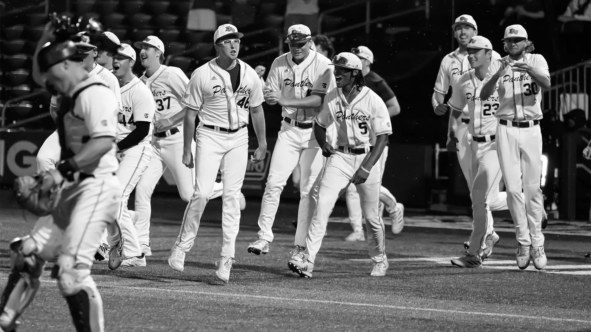 High Point Panthers Baseball Icons and Champions